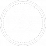 SportsKidz - White